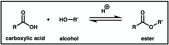 Generic Fischer esterification reaction scheme